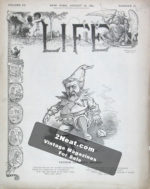 LIFE 1884 (Currently Out of Stock)