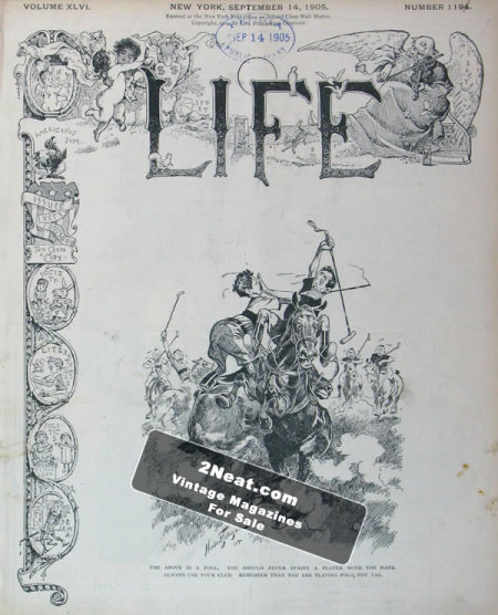 For Sale - humor LIFE magazine September 14, 1905 - Polo Player