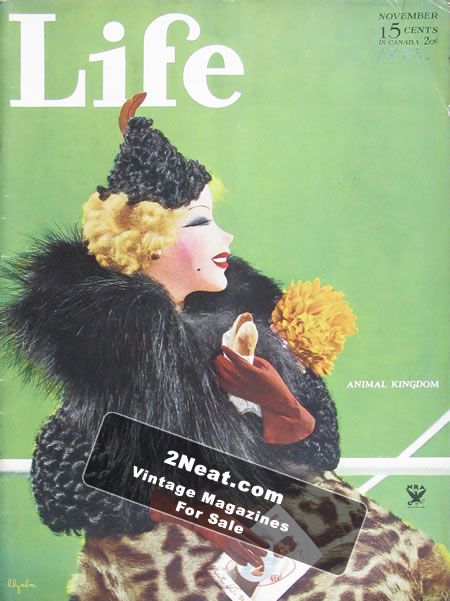 Life Magazine – November 1933